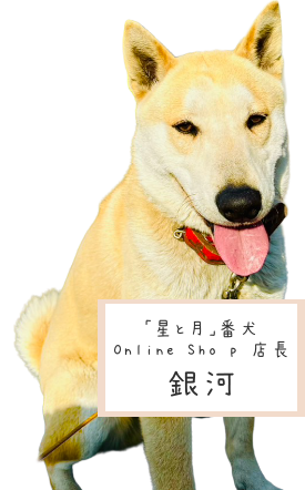 番犬 銀河店長